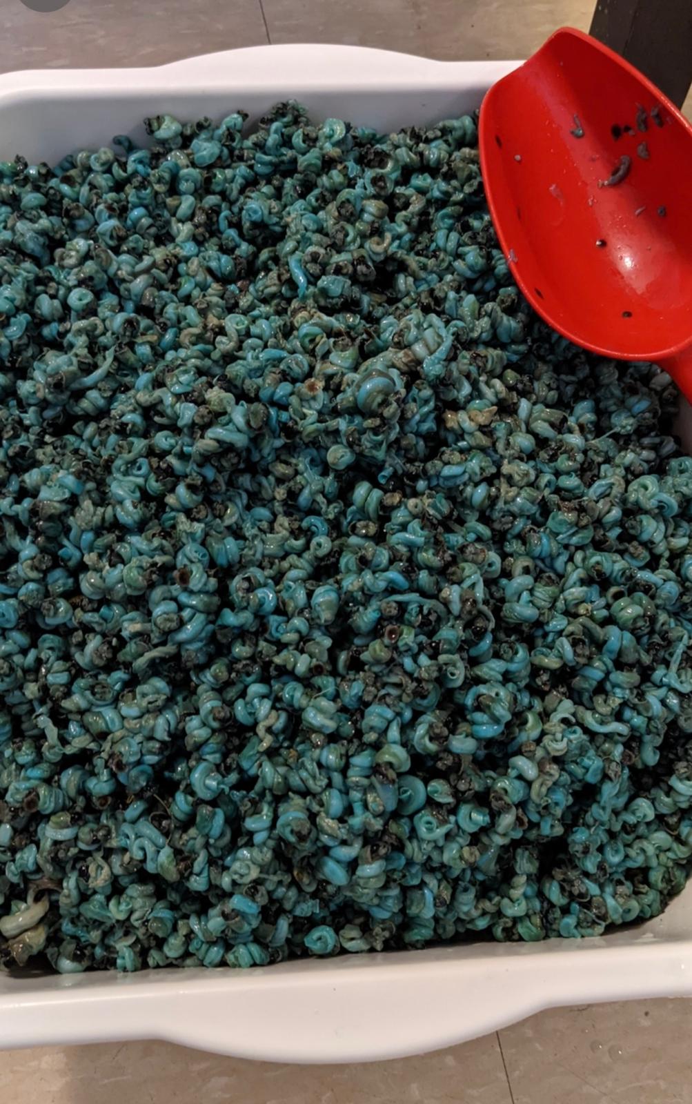 Edible Delicious Nigerian Periwinkles (Without Shells) for Spicing up Your Soup (Sold in packs)