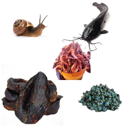 African Seafood