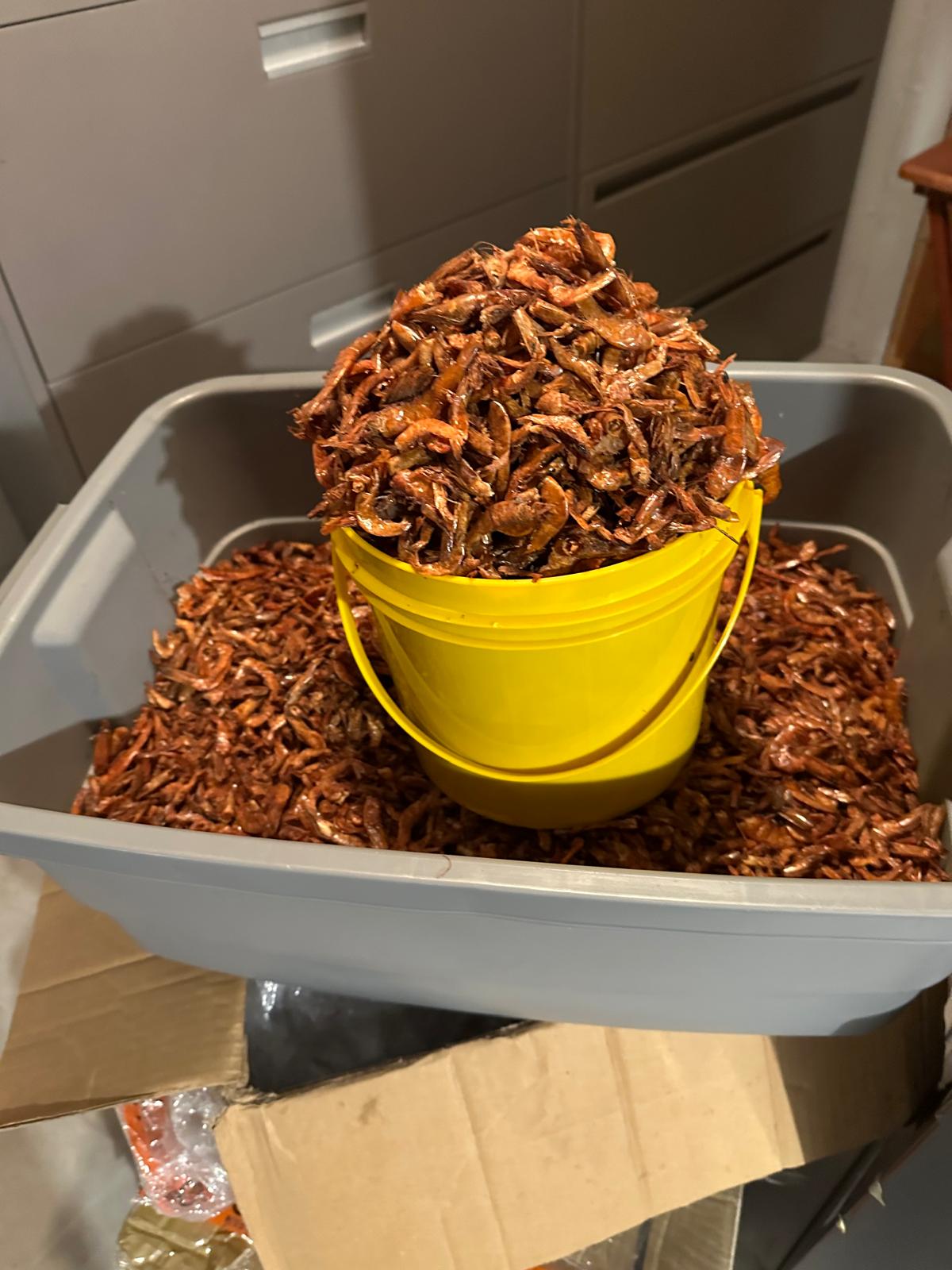 🦐 Premium Dried Prawns (Oporo) – Perfect for Rich, Flavorful Soups ($47 Per Rubber)