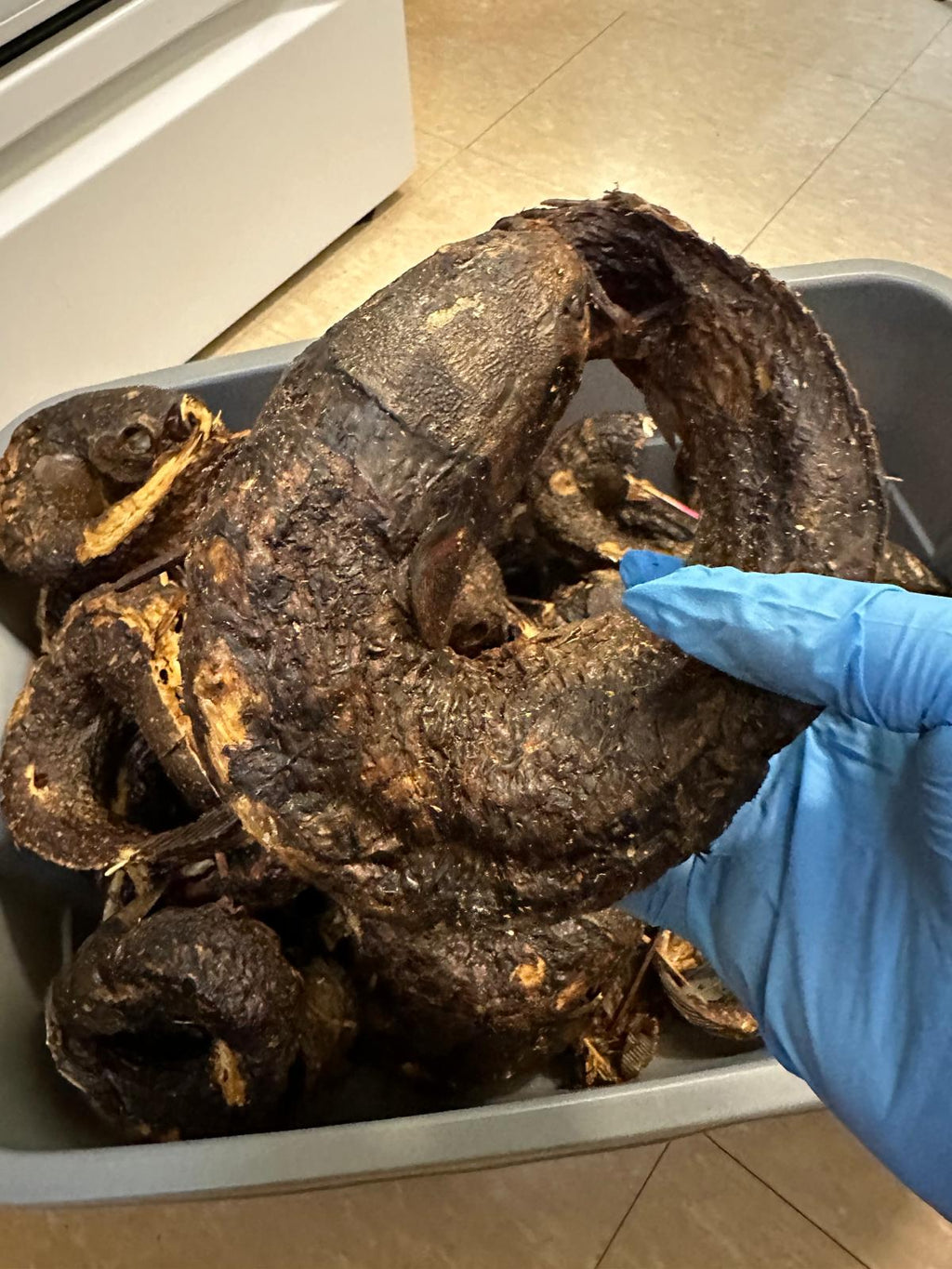 Premium Dried Catfish – Rich Flavor for Authentic Cooking ($13.50 for a Pack)