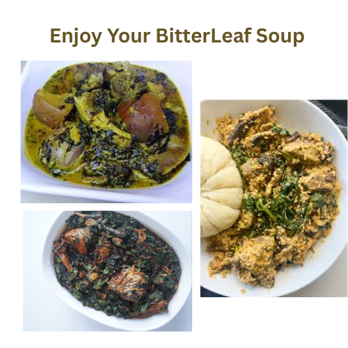 Fresh Bitterleaf ($6.50 per wrap)– Authentic African Cooking Herb