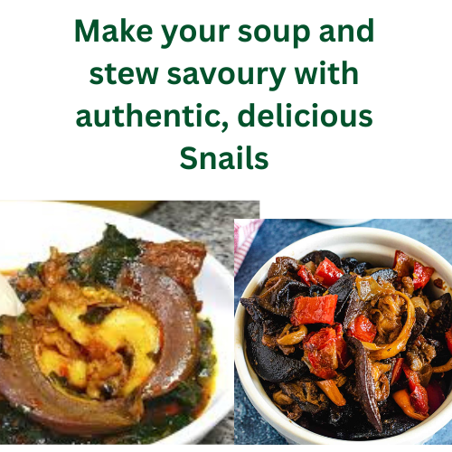Authentic African Snails (Not-Dried & without Shells, 10 Pieces in a Pack)