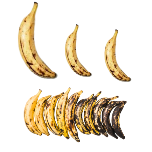 Ripe Plantains – Sweet, Delicious, and Naturally Nutritious ($2.10 for 1 plantain)