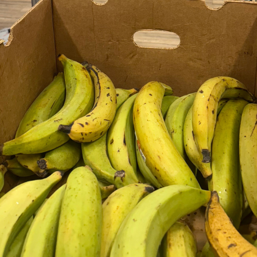 Fresh Unripe Plantains – Naturally Nutritious, Perfectly Versatile ($2.10 for 1 Plantain)